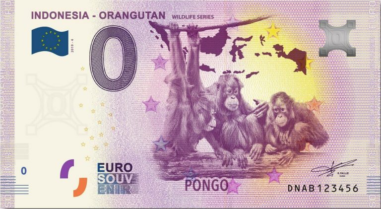 INDONESIA - ORANGUTAN 2019-4