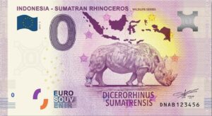 INDONESIA - SUMATRIAN RHINOCEROS 2019-3