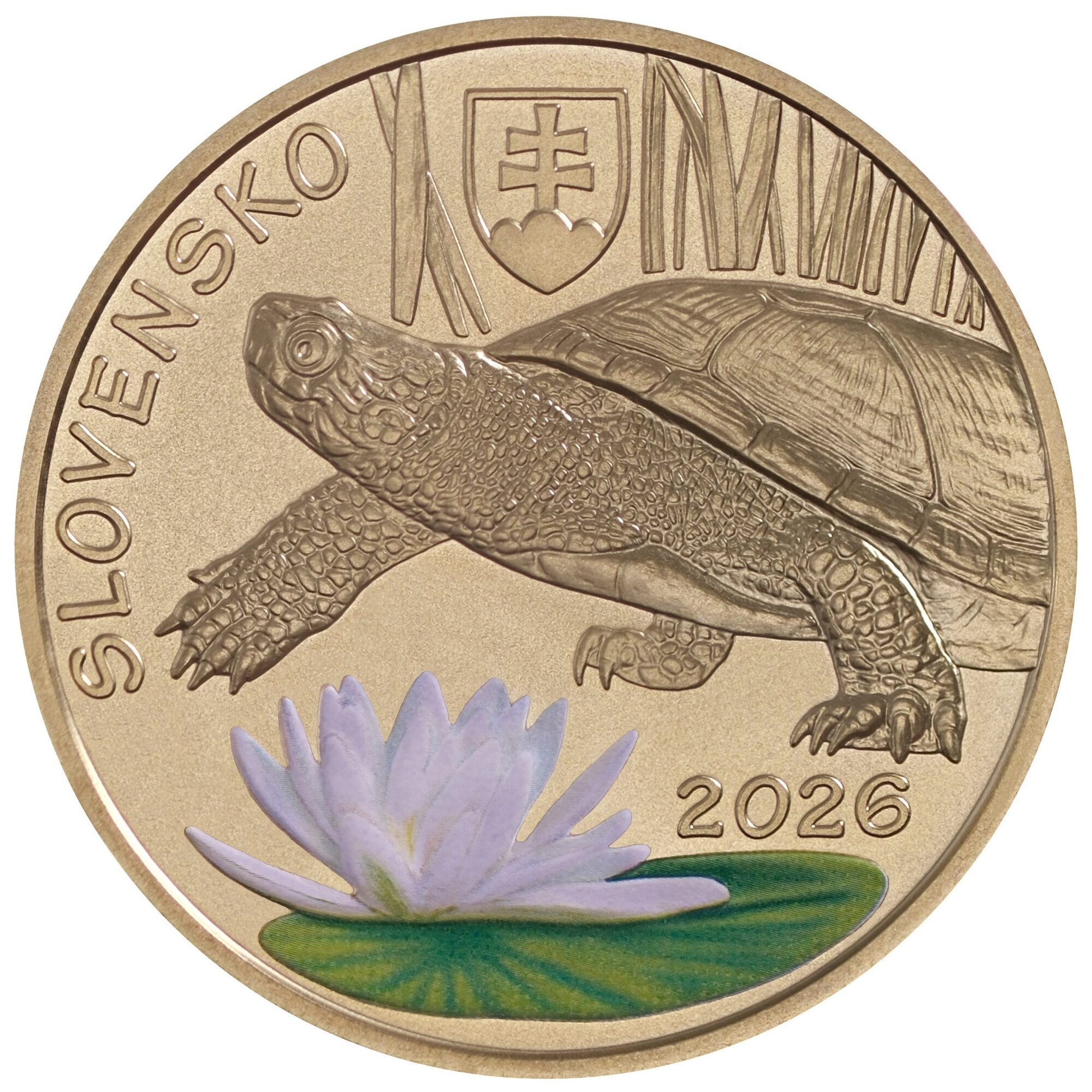 5_euro_2026_korytnacka-1