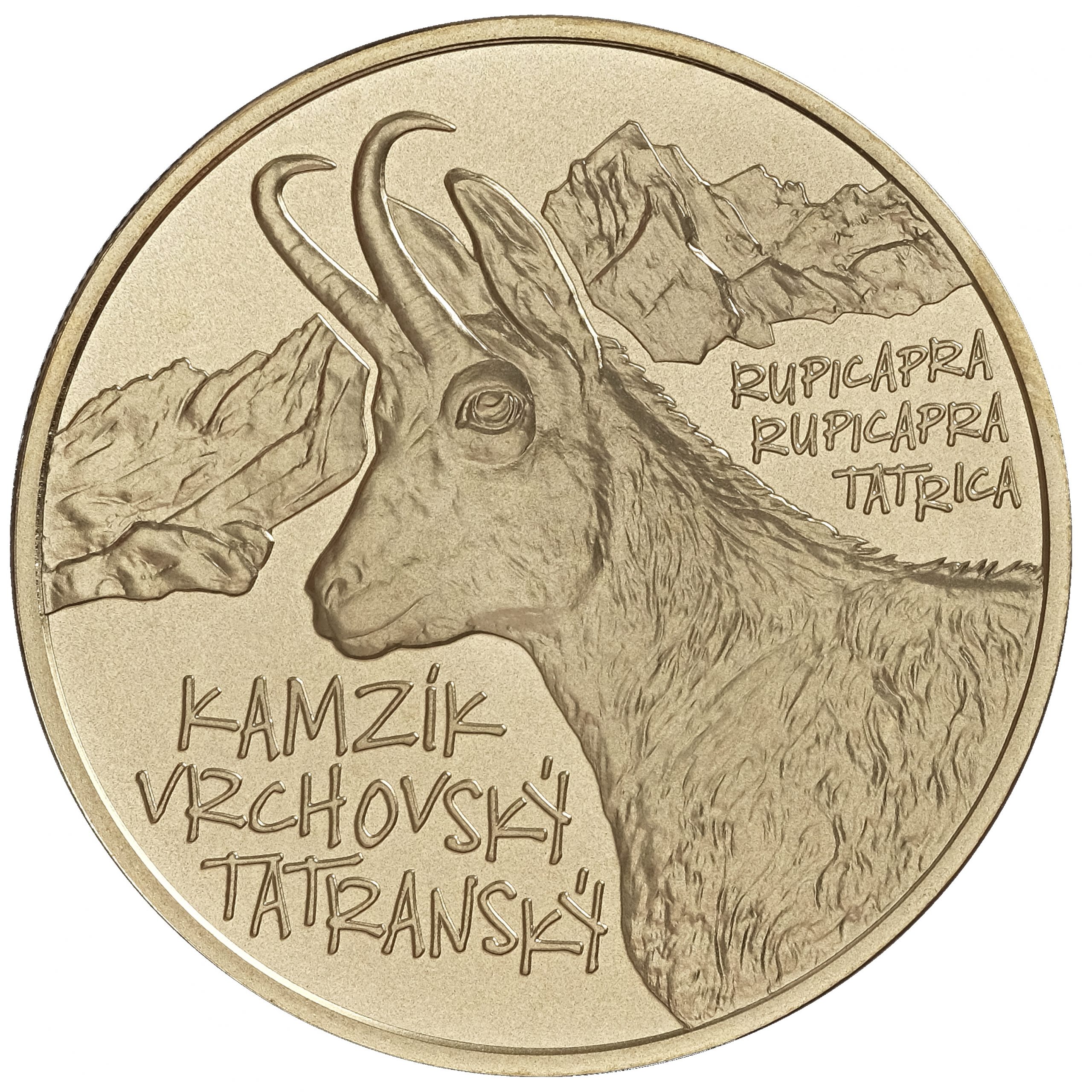 5 EURO KAMZÍK VRCHOVSKÝ TATRANSKÝ